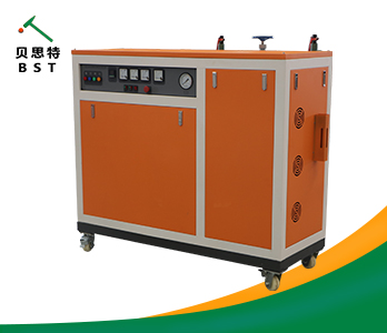 250kg电加热蒸汽发生器