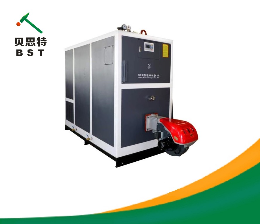 贝思特1.2吨超低氮环保节能高效燃气蒸汽发生器